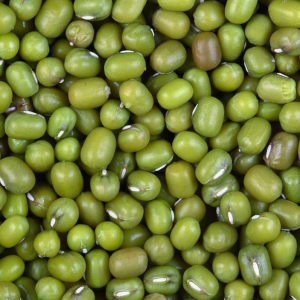 Boiled Mung Beans