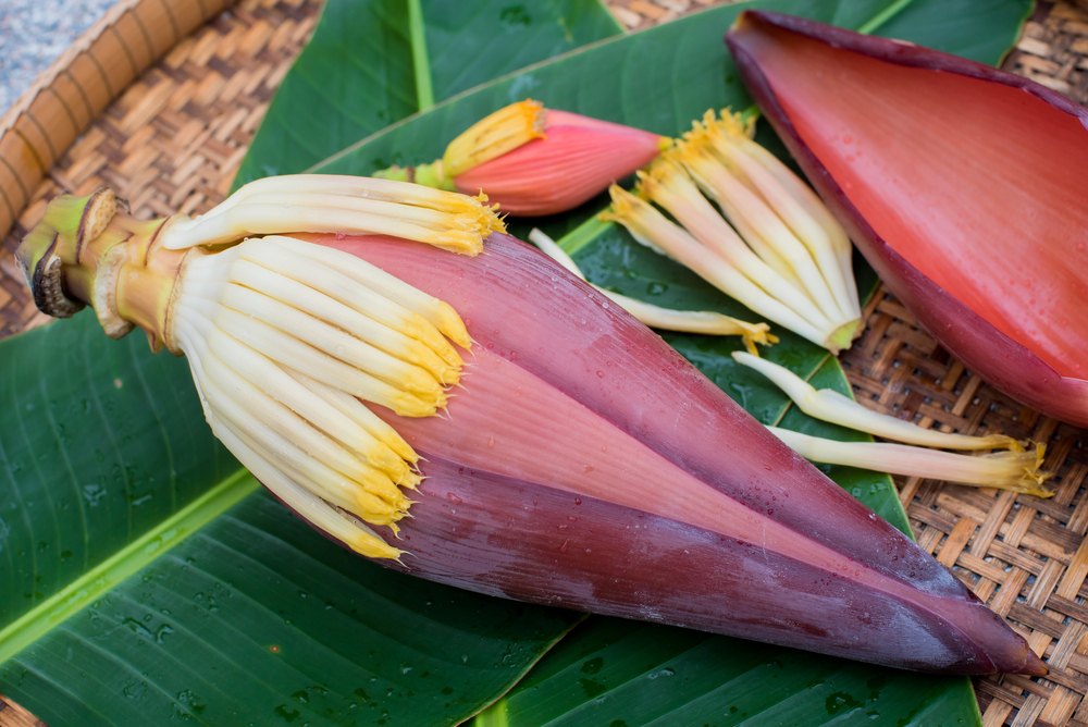 Banana Flower Vegetable