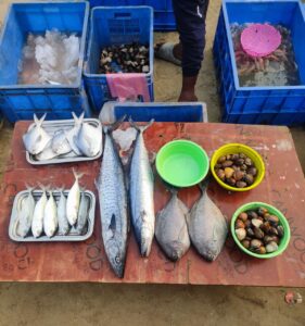 Malvan Fish Market